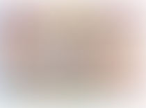 Lucinda Yates: Expressionist Style Families