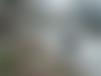 Reclaiming Garrison Blvd.