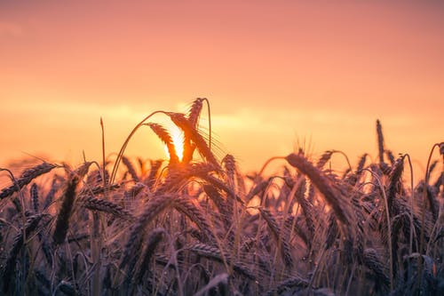 Time to Invest, Divest & Harvest