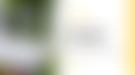 Desvendando o Wi-Fi Mesh