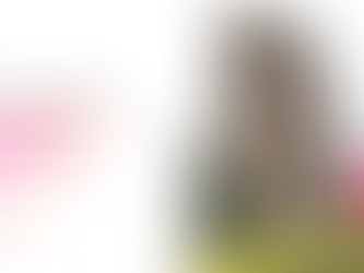 Internet em Foz | Condomínio Residencial Flamingo