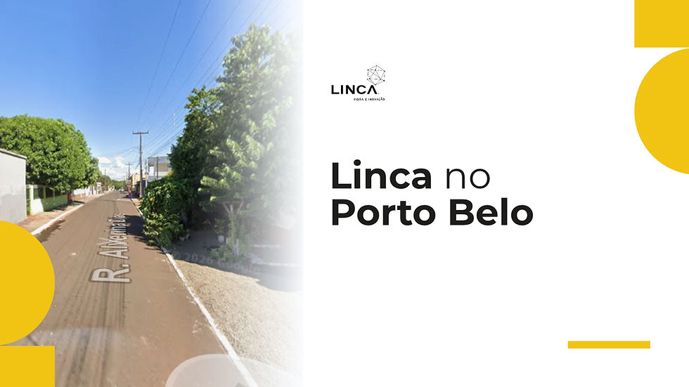 Linca no Porto Belo