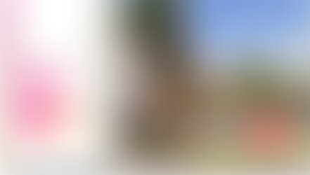 Internet da Linca no bairro Jardim América