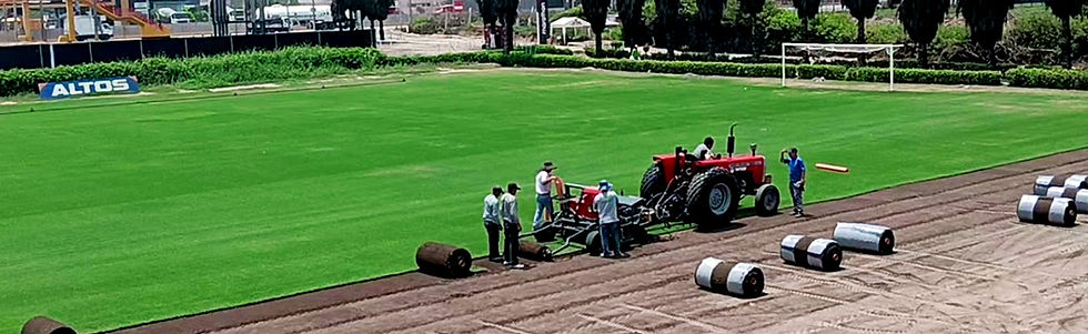 Agrícola Pumayaca expertos en riego tecnificado