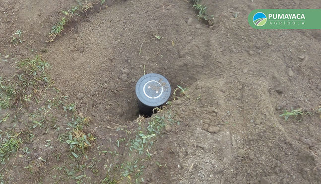 Agrícola Pumayaca expertos en riego tecnificado