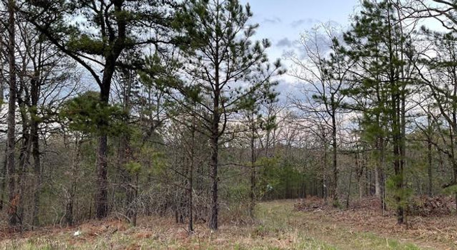 Hwy 1, Wilburton, OK 74578