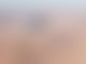 AirShields' Counter-UAS