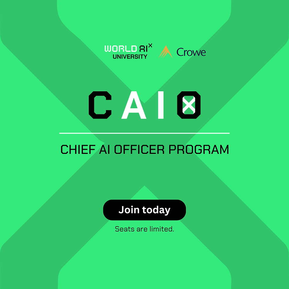 The Chief AI Officer (CAIO) Program