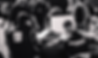 f489ed_b6f65429b3124f06b7b5d5ecd0a7a2c1~mv2.jpg