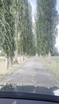 Minshull-Farm-2025.gif