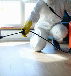 istockphoto-1414982124-612x612.jpg
