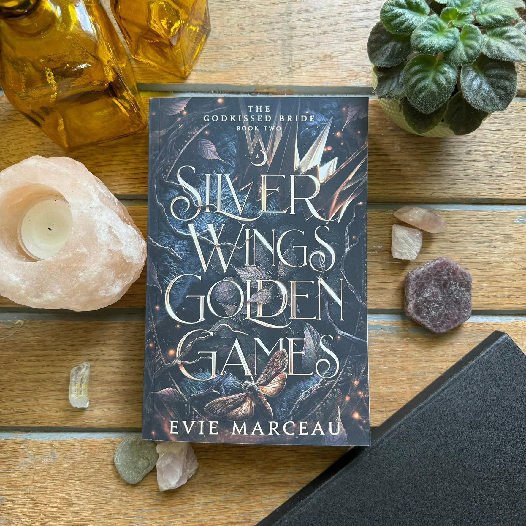 *SIGNED* Silver Wings Golden Games Paperback