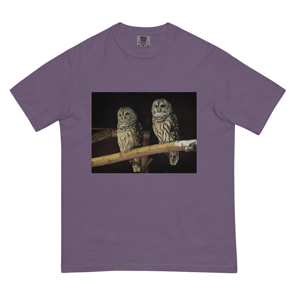 Thumbnail: Unisex garment-dyed heavyweight t-shirt