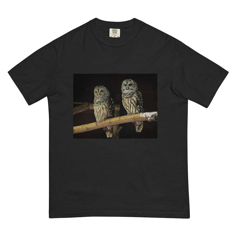 Thumbnail: Unisex garment-dyed heavyweight t-shirt