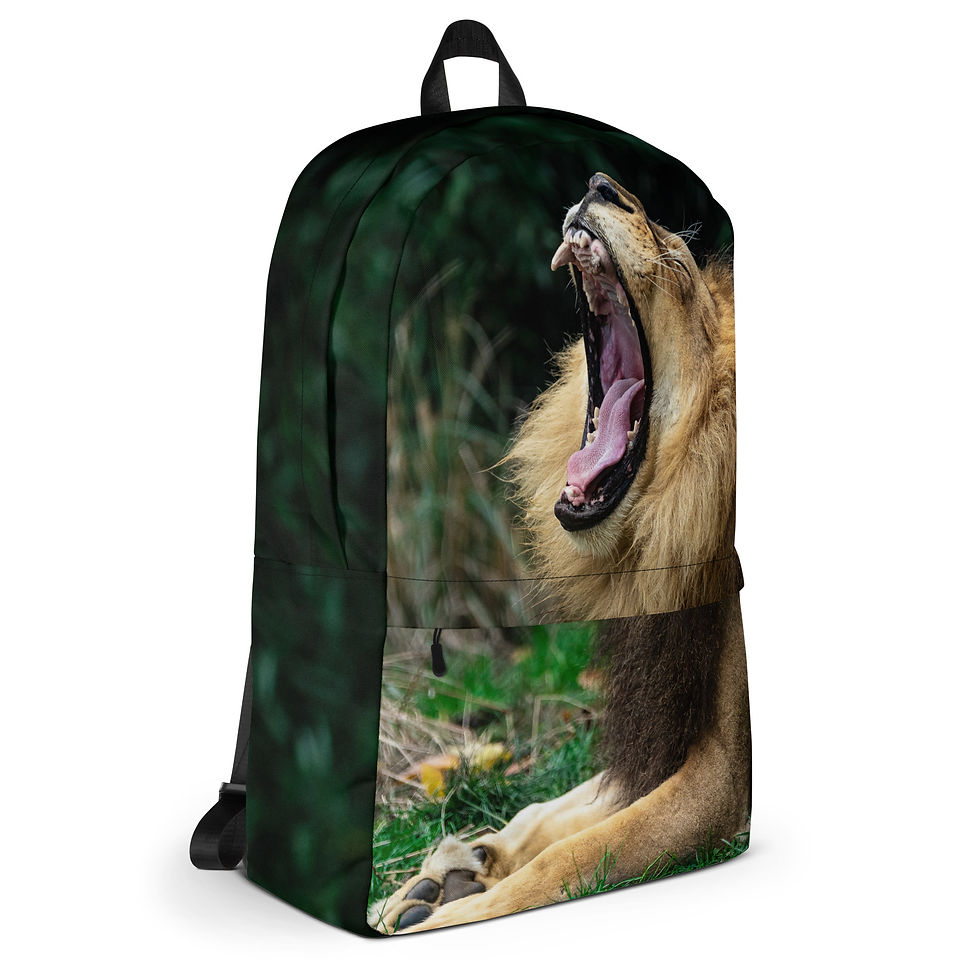 Thumbnail: Backpack - Cincinatti Zoo, Lion's Roar