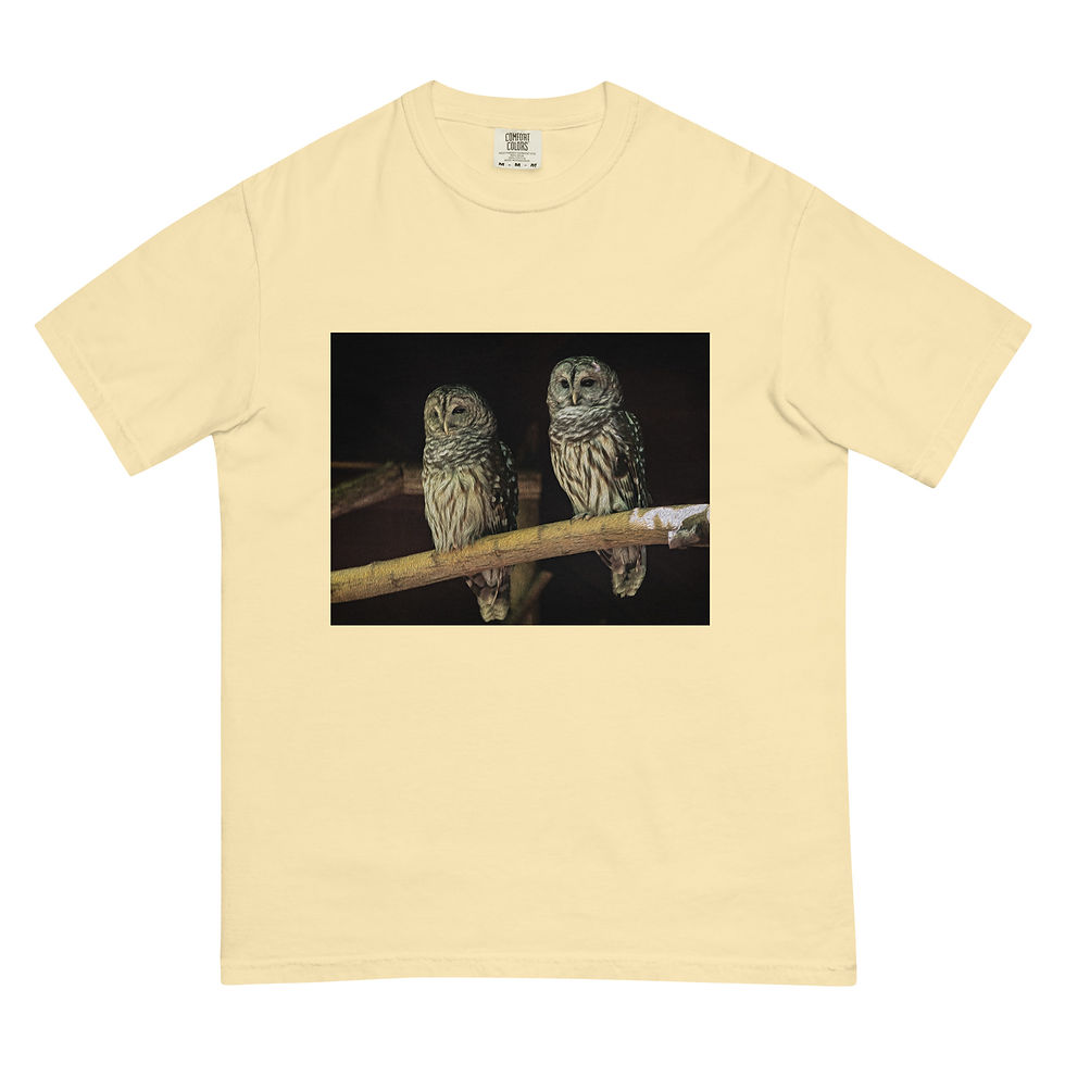 Thumbnail: Unisex garment-dyed heavyweight t-shirt