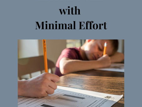 Excel in PSLE with Minimal Effort