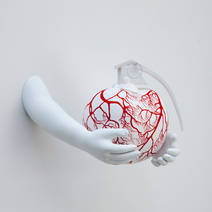 white cherry with red arteries and hands