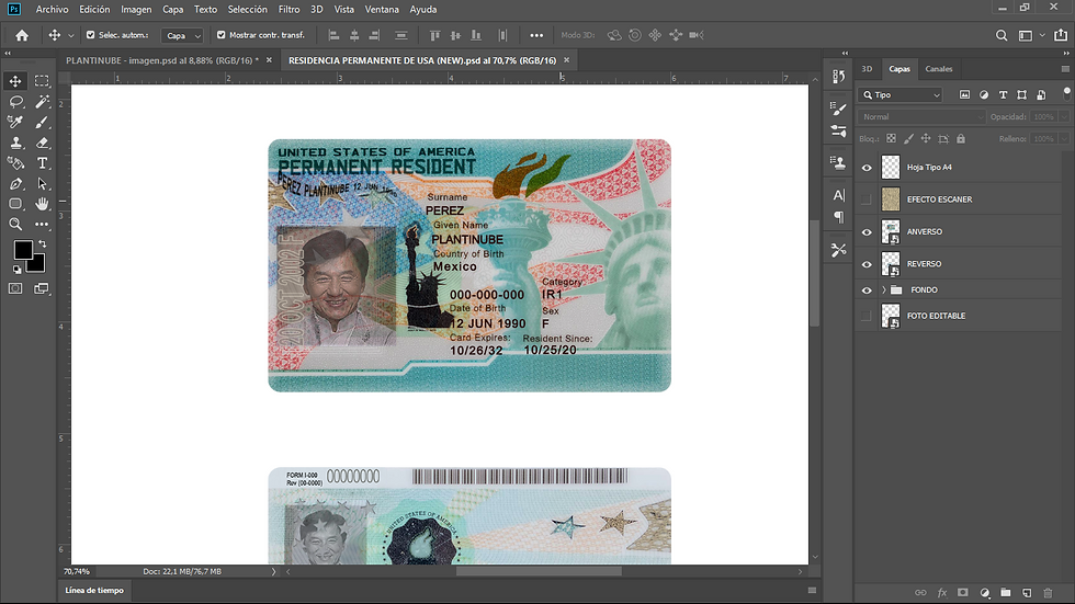 Plantinube, plantilla GREEN CARD USA (new) editable