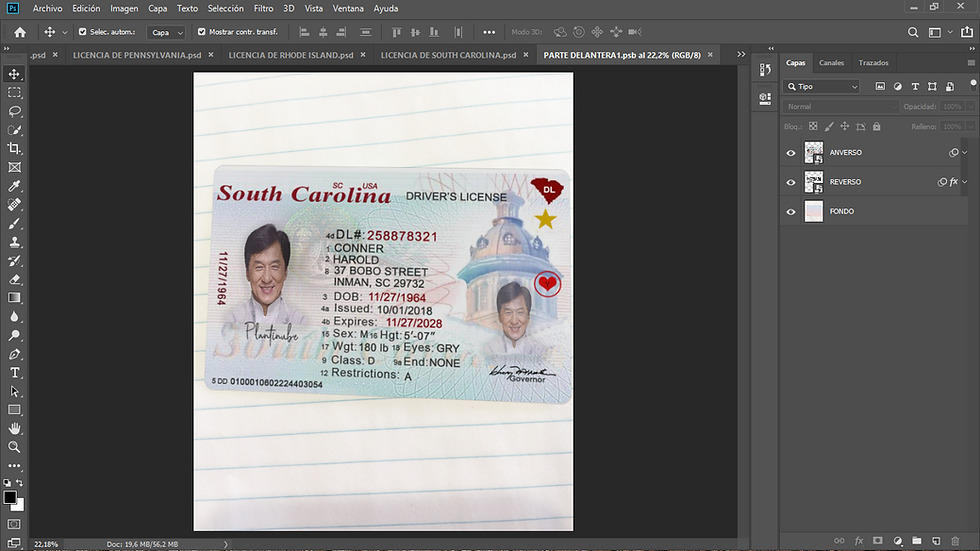 Miniatura: plantilla LICENCIA DE SOUTH CAROLINA (USA) editable en photoshop (actualizada)