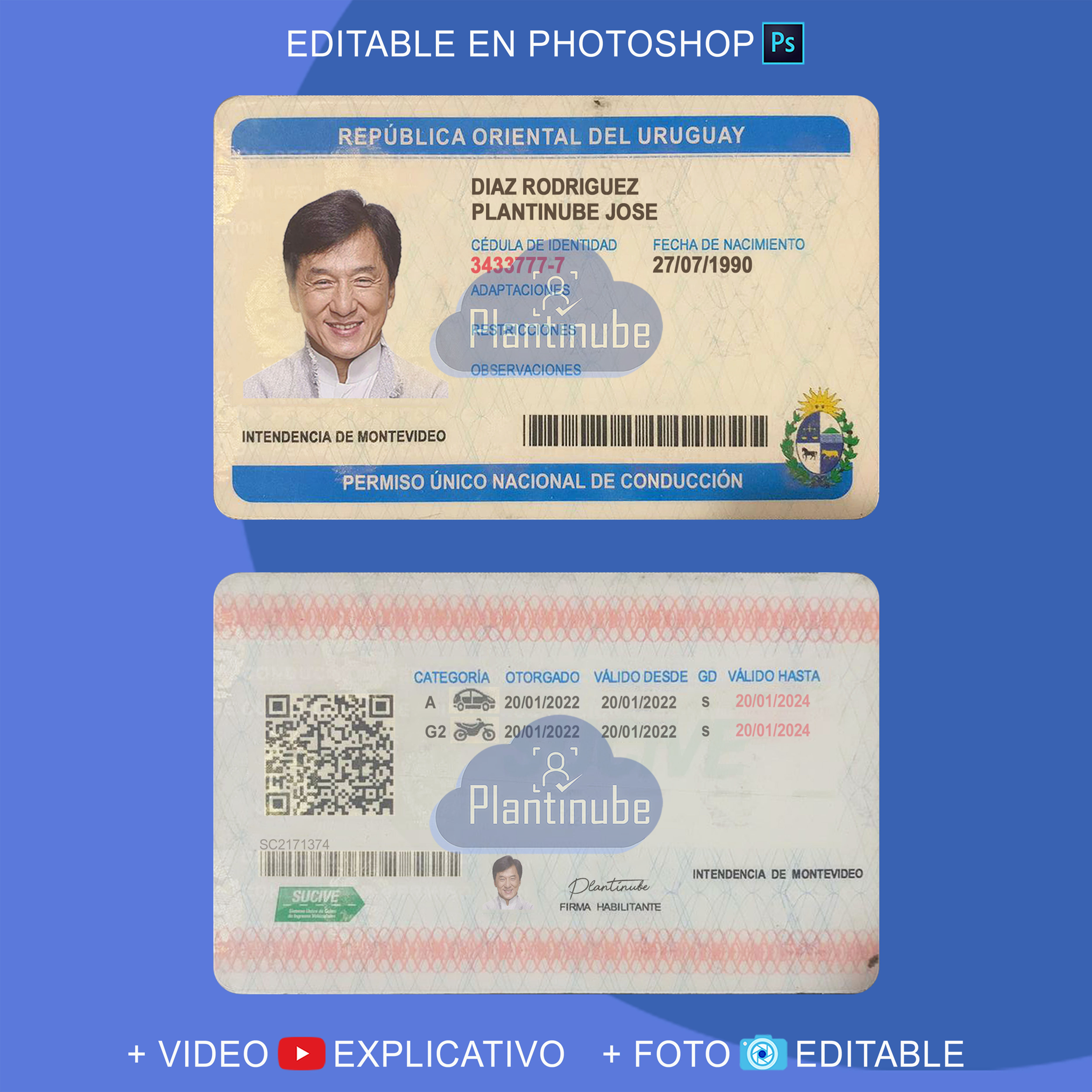 plantilla LICENCIA DE URUGUAY editable, Plantinube