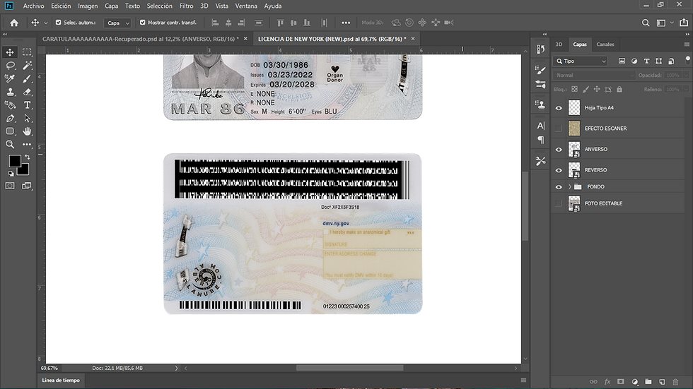 Miniatura: Plantinube , licencia de new york editable en photoshop psd para verificar apps