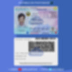 Plantinube licencia de idaho para verificar apps
