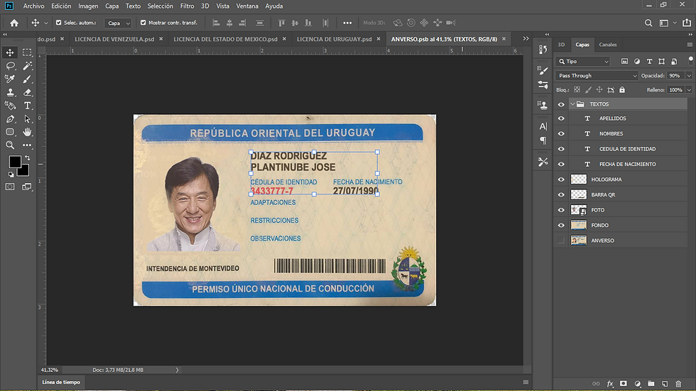 Miniatura: plantilla LICENCIA DE URUGUAY editable, Plantinube