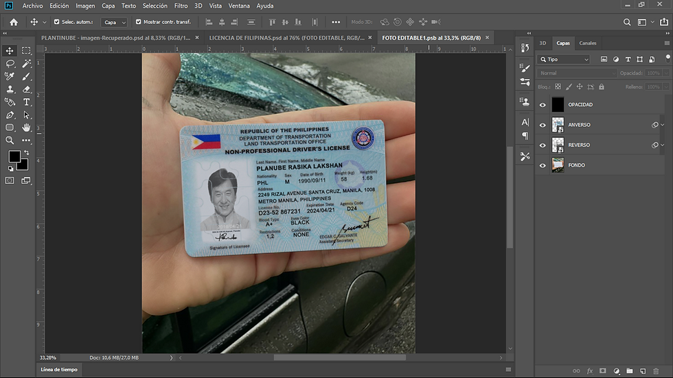 Miniatura: Plantinube. plantilla LICENCIA DE FILIPINAS editable