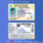 plantilla CEDULA DE REPUBLICA DOMINICANA, Plantinube,