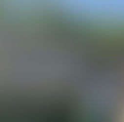 Sauvons le stade Bonnaud !