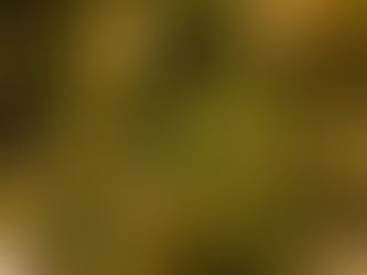 6 indústrias e negócios que boicotam a legalização da maconha