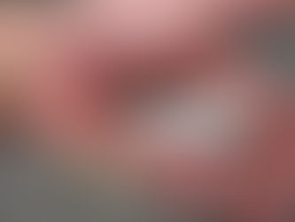 Pesquisadores detectam diminuição no tamanho de peixes amazônicos