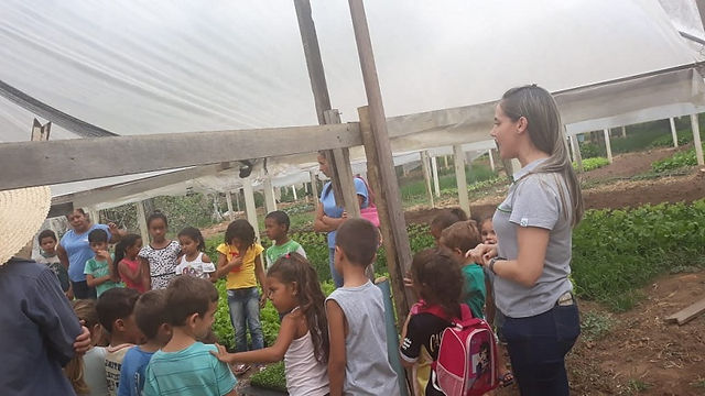Visita