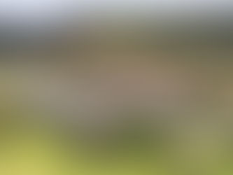 Projeto que limita área no entorno de unidades prisionais é aprovado na ALMT