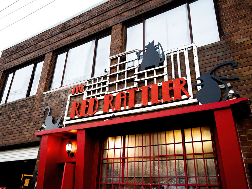 Videography and Photography of the Red Rattler in Marrickville Sydney