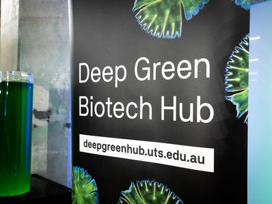 Videography and photography for the Deep Green Biotech Hub's Green Light Pitch Night