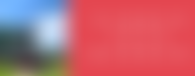 Summer 2025 Banner