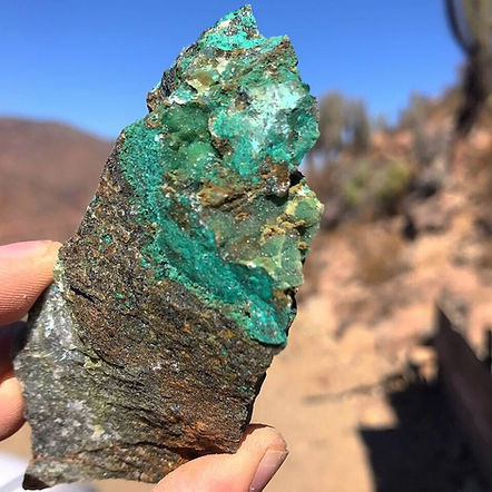 WhatsApp Image 2023-03-21 at 21_edited.jpg