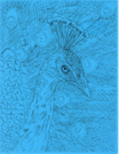 Extra Peacock Paper