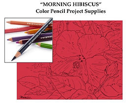 HIBISCUS SET$.jpeg