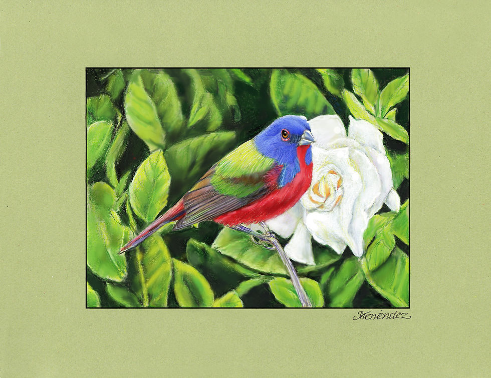Painted Bunting