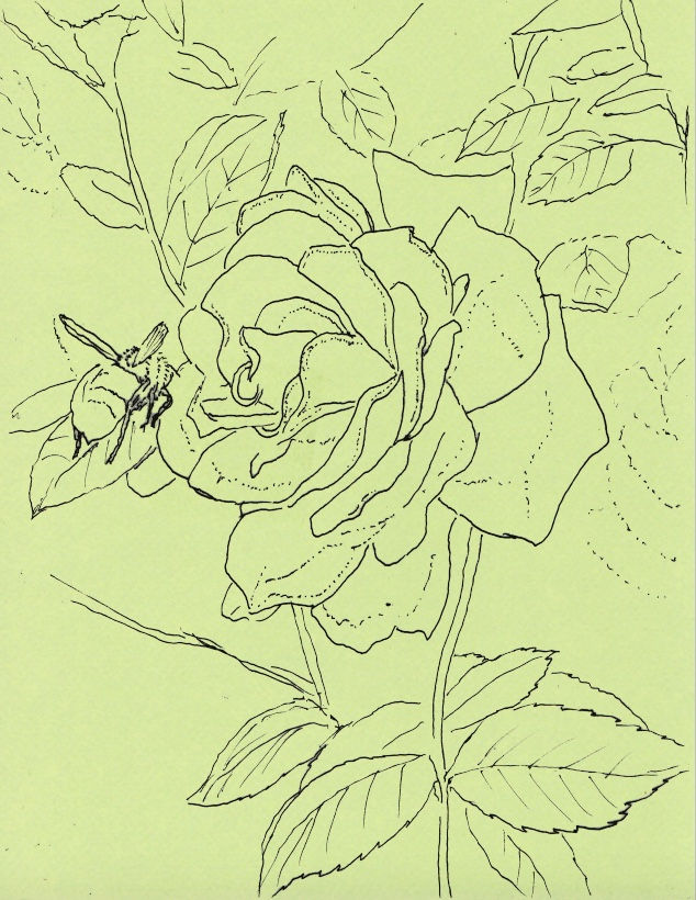 Extra Paper Crimson Rose