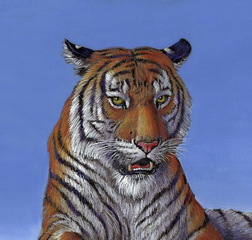 Thumbnail: Extra RestingTiger Paper