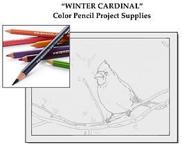 WinterCardinal Set$.jpeg