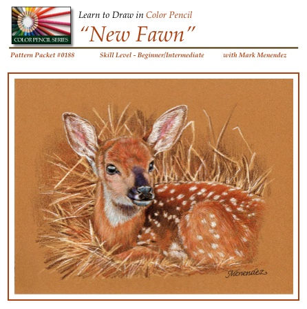 DIGITAL New Fawn CP