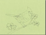 SpringCardinal Paper.jpeg