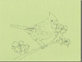 SpringCardinal Paper.jpeg