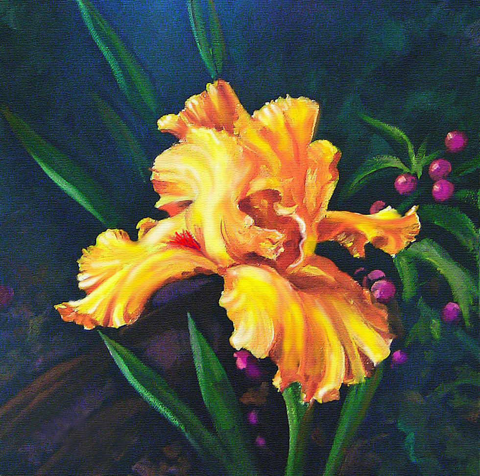 Golden Iris