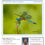 Thumbnail: DIGITAL Dragonfly